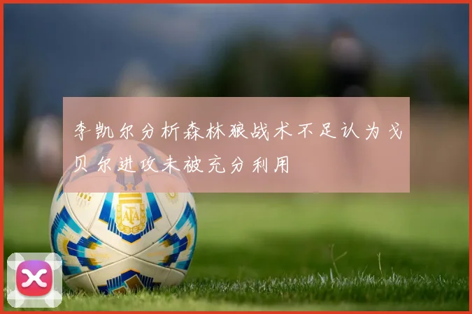 李凯尔分析森林狼战术不足认为戈贝尔进攻未被充分利用